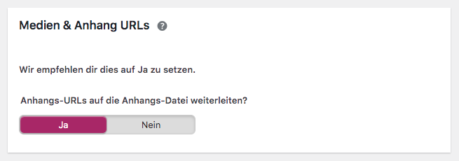 WordPress SEO-Plugin Yoast: Anhang-Seiten weiterleiten