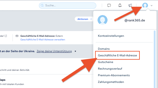 Wix email Domain (1)