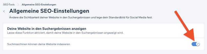 Wix SEO Indexierung (2)